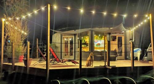 La Capelle-les-Boulogne House | Unique Atypique Yourte - Guest Rated 9/10 Experience