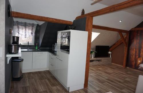 Konigslutter am Elm Apartment | Unique Rooftop Apartment with Family and Pet-Friendly Amenities