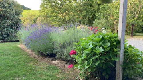 Berthez Bed & Breakfast | Discover Au Bras d'Argent: Pet-Friendly Excellence Awaits