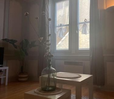 Dole Apartment | Experience Comfort at Au cœur de Dole - Child-Friendly Stay