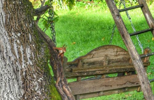 Saint-Bonnet-de-Bellac Bed & Breakfast | Discover Au coeur des loges - Guest Rated 9.8/10