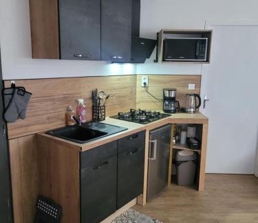 Puygouzon Apartment | Experience Au Grand Chêne Jolie T3, 5 Min from Albi