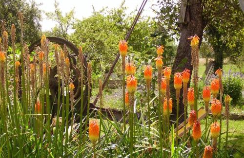 Theillay Bed & Breakfast | Discover Au Grand Pré: Oceanfront Retreat with Pets Welcome