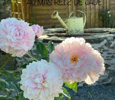 Chauve Bed & Breakfast | Top-Rated Stay at Au Mas Retz De Jade with Pool & Breakfast