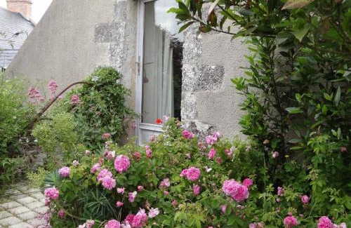 Rochefort-sur-Loire Bed & Breakfast | Family-Friendly Stay at Au Moulin Géant with Kitchen Access
