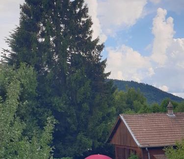 Biffontaine Ski Chalet | Au pied de sa Majesté