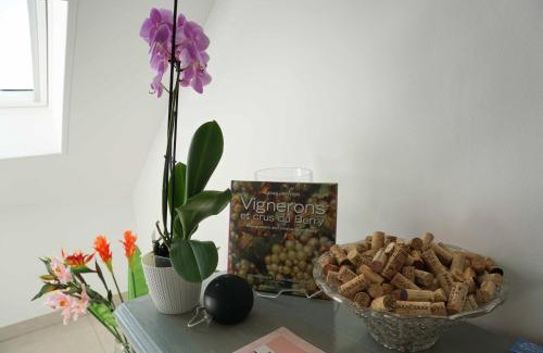 Sancerre House | Relax at Au pied des Vignes: Child-Friendly Retreat