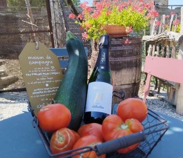 Cunfin House | Discover Au pied du vignoble Champenois: Family-Friendly Stay