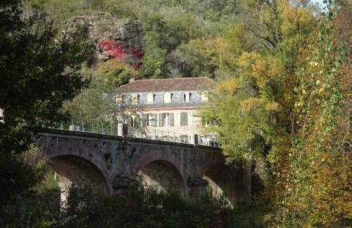 Mirandol-Bourgnounac Hotel | Discover Auberg'IN: Pet-Friendly Oceanfront Retreat