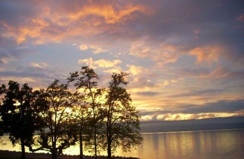 Anthy-sur-Leman Hotel | Cozy Auberge d'Anthy: Pet-Friendly Stay with Breakfast