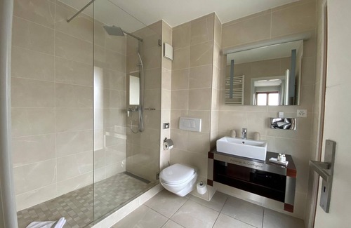 Confignon Hotel | Experience Auberge de Confignon: Spa & Family-Friendly Stay