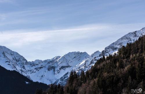 Auris Hotel | Discover Auberge De La Foret: Pet-Friendly Comfort Awaits