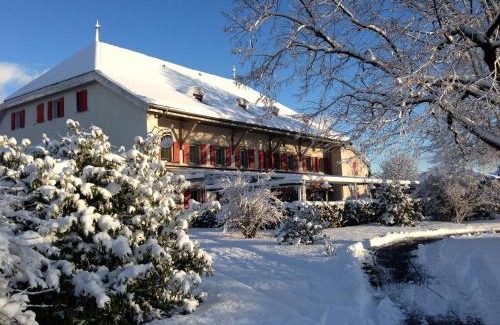 Coinsins Hotel | Pet-Friendly Auberge de la Réunion with Great Reviews