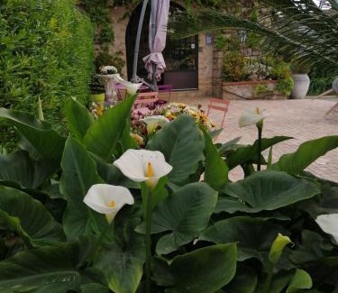 Le Plan-de-Grasse Hotel | Discover Auberge les Aromes: Family-Friendly Retreat