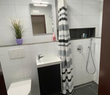 Steinbach Apartment | Budget-Friendly Stay at Auf der Alm 21 N.1