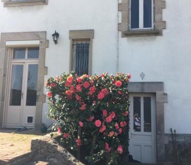 Autun Bed & Breakfast | Discover Augustodun'Home: Pet & Child Friendly Retreat