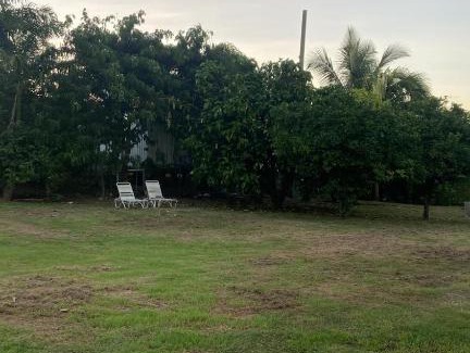 Saint Peter Parish Apartment | Comfortable Auntie Fiona's Cottage - Pet and Child Friendly