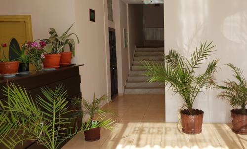 Venus House | Oceanfront Retreat at Aurex - Guest Rated 9.7/10