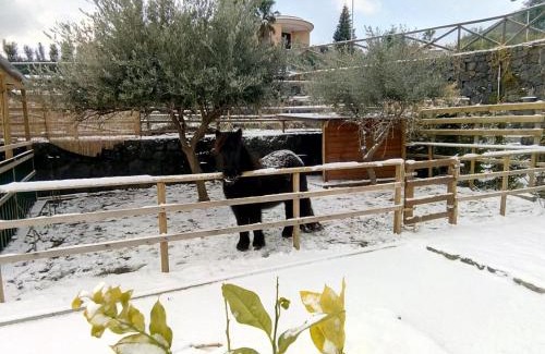 Zafferana Etnea Bed & Breakfast | Inviting Stay at Aurora dell'Etna with Pool & Family Amenities