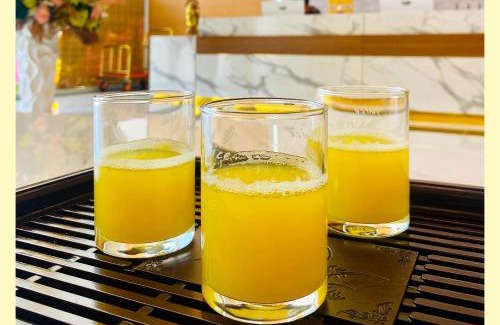 Kon Plong Hotel | Discover Aurora Hotel Măng Đen: 4-Star Family-Friendly Retreat