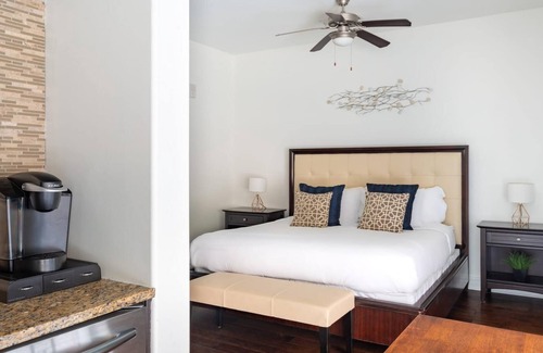Waller Creek District Apartment | Austin | Beautiful Studio Apartment