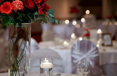 Round Rock Hotel | Explore Austin Marriott North: Pet-Friendly Oasis Awaits