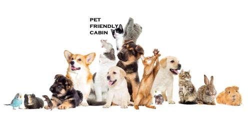 Twelve Mile Creek Resort | Pet-Friendly Australian Motor Home Park at Twelve Mile Creek
