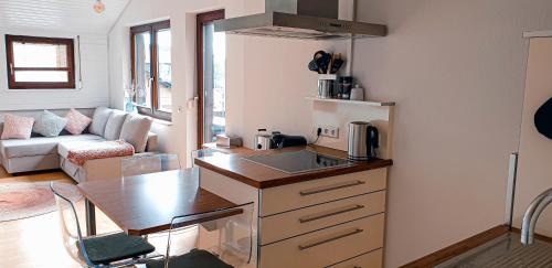 Furtwangen Apartment | Family-Friendly Retreat at 1000m with Your Furry Friend