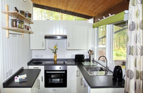 Taynuilt Cabin | Cozy Forest Log Cabin Near Picturesque Loch Awe