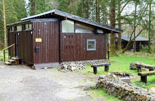 Taynuilt Cabin | Cozy Forest Log Cabin Near Picturesque Loch Awe