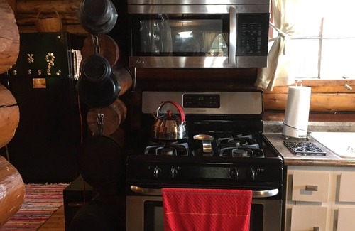 Baldwin House | Pet-Friendly Log Cottage with Ocean and Lake Views