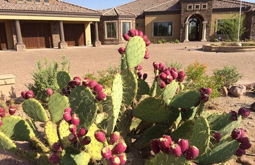 Apache Junction House | Exquisite Santa Fe Tuscan Villa with Scenic Views & Spa