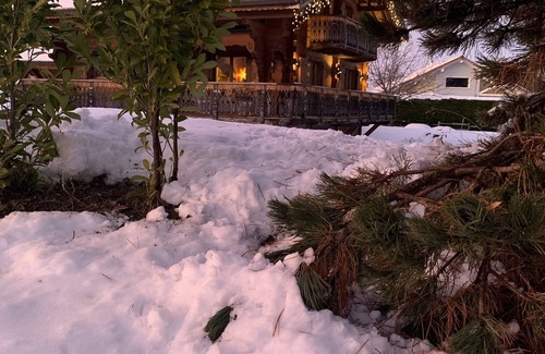 Vinzier Ski Chalet | Experience the Authentic Savoyard Chalet with Spa & Pool