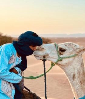 M'Hamid El Ghizlane Other | Experience the Authentique Berber Camp: Pets Welcome!