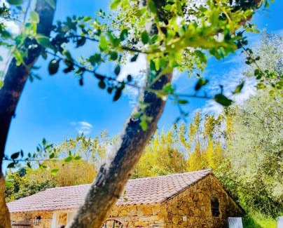 Le Beausset Bed & Breakfast | Authentique bergerie en pierre avec jacuzzi piscine et massages La grange des amoureux