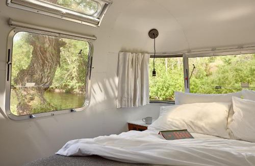 Three Rivers Hotel | Discover AutoCamp Sequoia: Pet-Friendly Family Getaway