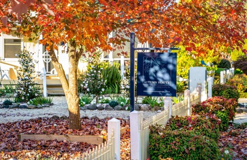 Bright Cottage | Mountain View Cottage 3 - Guest Rated Perfect at 10/10