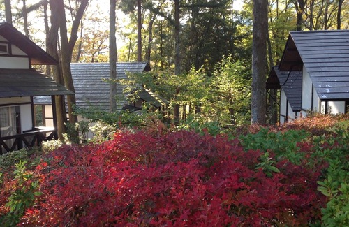 Kinugawa Onsen Cottage | Autumn leaves picking ♪ Nikko sightseeing base ♪ One station cottage can be reached by train!100 minutes by limited express from Kitasenju ♪ 4 minutes walk from station ♪ There is a lot of nature near the station.Kinugawa Onsen is cheaper than the expe...