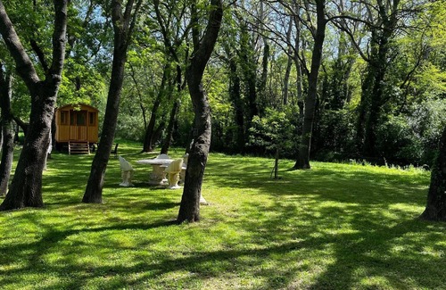 Tarascon Apartment | Discover Aux Cœur de la Provence with Pool and Spa