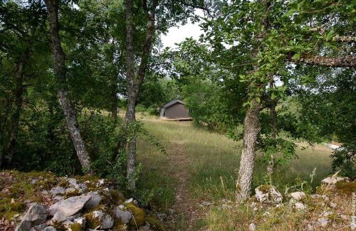 Sauliac-sur-Cele Other | Pet-Friendly Getaway at Aux Lodges du Mas de Nadal