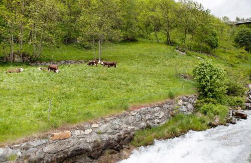 Cerisey Apartment | Pet-Friendly Retreat at Aux Pieds du Malatra - 9.6 Rating