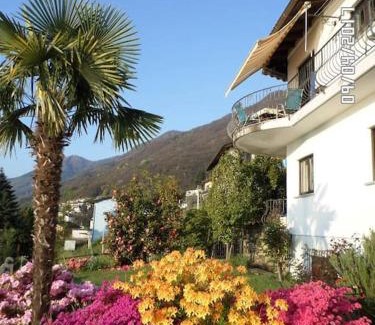 Brissago House | Family-Friendly Avalon: Top-Rated 4-Star Pet Welcoming Hotel