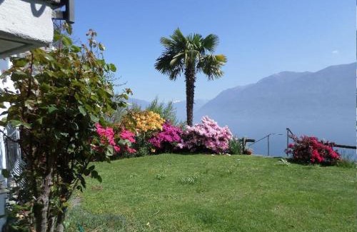 Brissago House | Family-Friendly Avalon: Top-Rated 4-Star Pet Welcoming Hotel