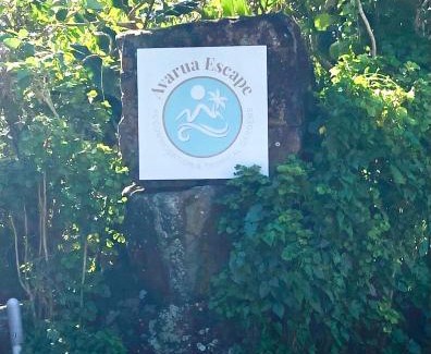 Avarua Apartment | Oceanfront Avarua Escape with Pool - Rated 9.5/10