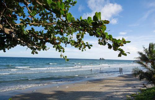 Kram Apartment | Pet-Friendly Avatara Condo A63 with Pool & Restaurant