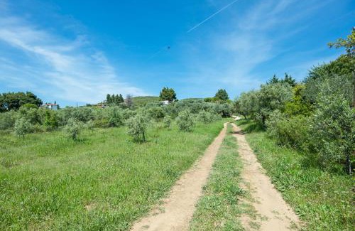 Ouranoupoli House | Pet-Friendly Avaton Farm with Ocean View & Top Ratings