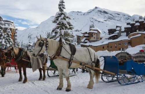 Avoriaz Apartment | Cozy AVORIAZ Apartment Douchka with Wheelchair Access