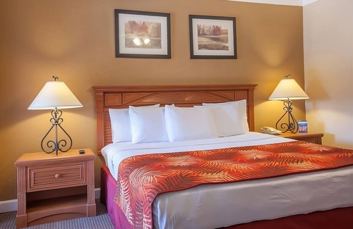 Palm Coast Hotel | Adventure Awaits at Painters Hill Beach with Pool & Kitchen!