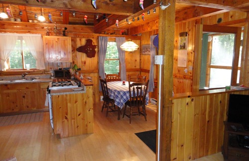 Orland Cottage | Experience Awanadjo Shores: Pet-Friendly Lakeview Retreat