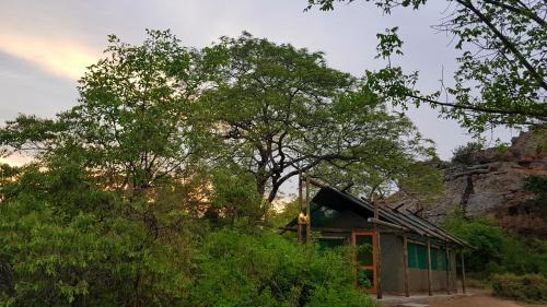 Tshikuyu Cabin | Relax at Awelani Lodge: Family-Friendly with Pool & Breakfast